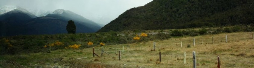 20111024-221049.jpg