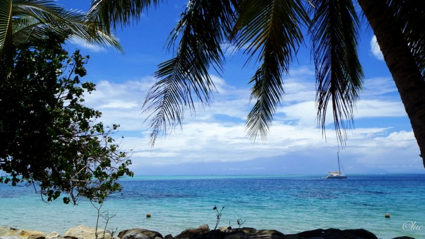 Cliquer pour agrandir