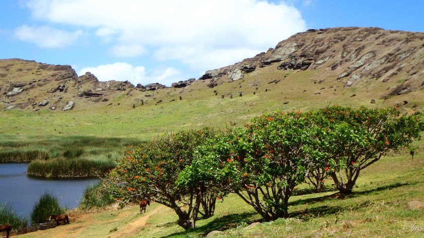 Cliquer pour agrandir