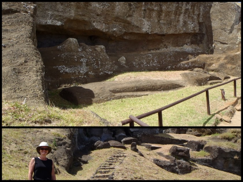 Cliquer pour agrandir