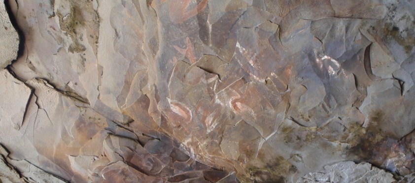 Cliquer pour agrandir