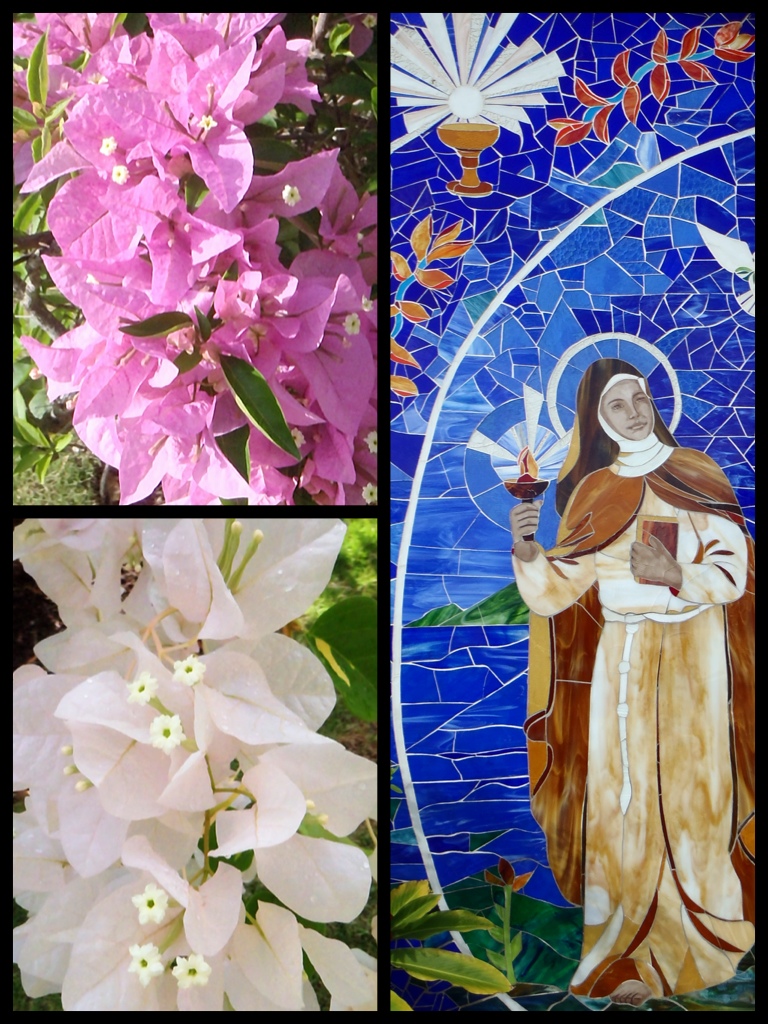 Cliquer pour agrandir