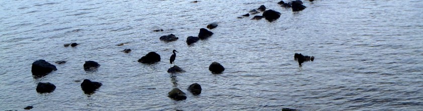 Cliquer pour agrandir