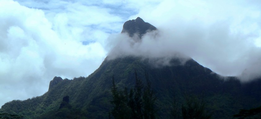 Cliquer pour agrandir