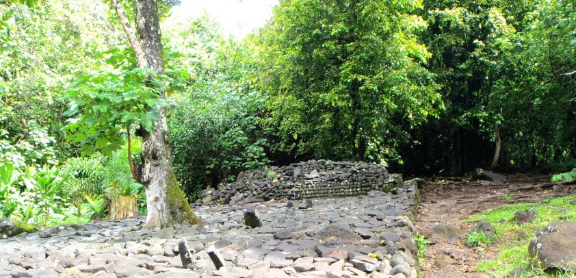 Champ de tir à l'arc - Cliquer pour agrandir