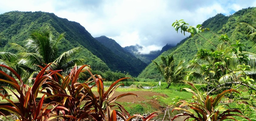 Cliquer pour agrandir