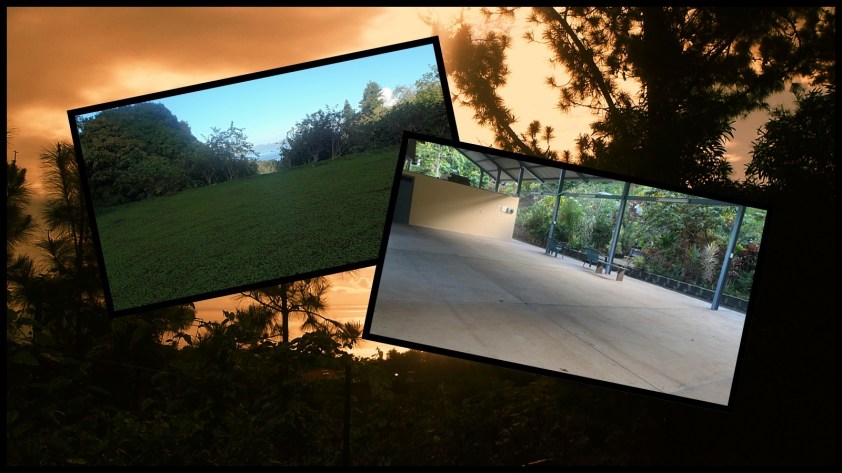 Cliquer pour agrandir