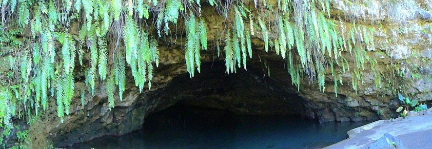 Cliquer pour agrandir