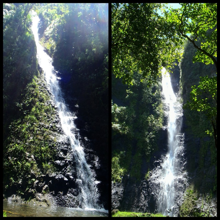 Cliquer pour agrandir