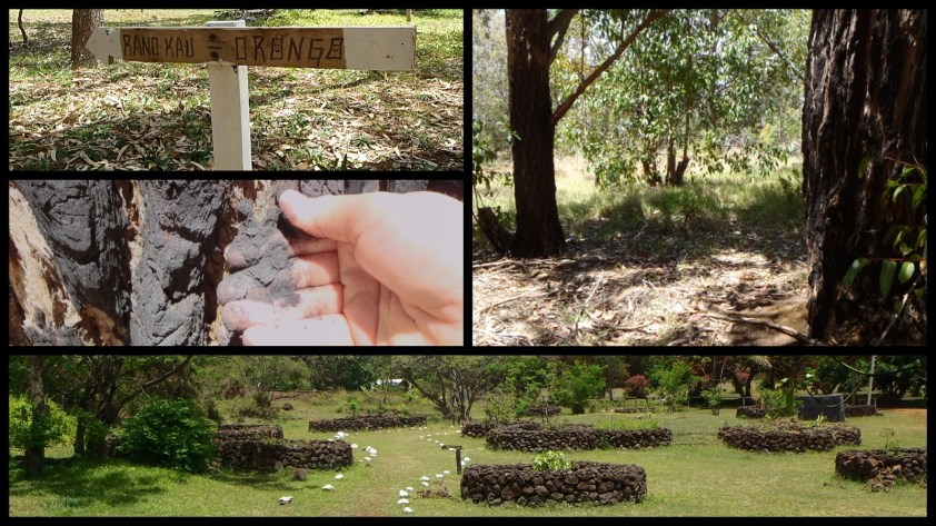 Cliquer pour agrandir