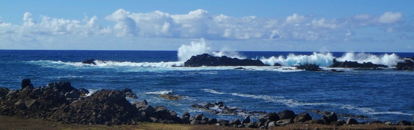 Cliquer pour agrandir