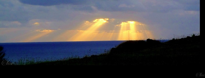 Cliquer pour agrandir