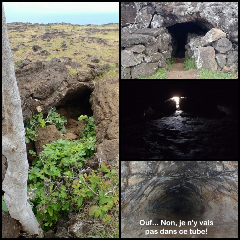 Cliquer pour agrandir