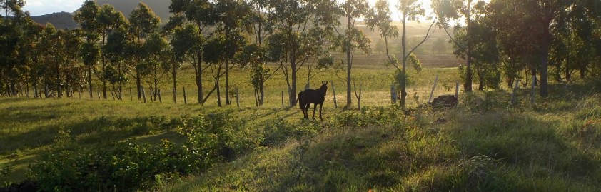 Cliquer pour agrandir.jpg