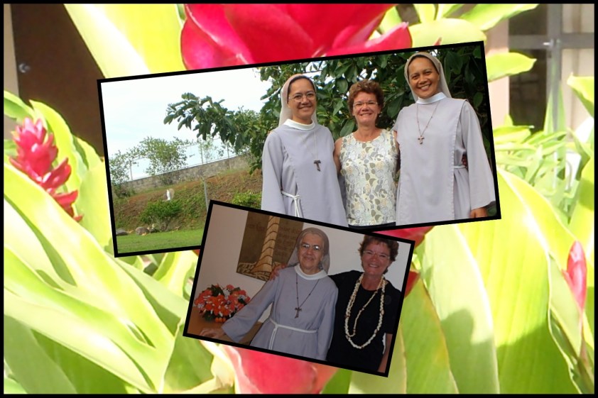 Cliquer pour agrandir