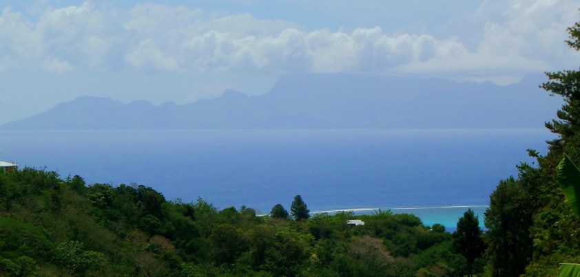 Cliquer pour agrandir