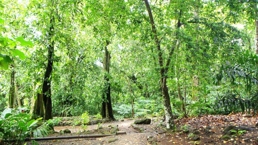 Cliquer pour agrandir