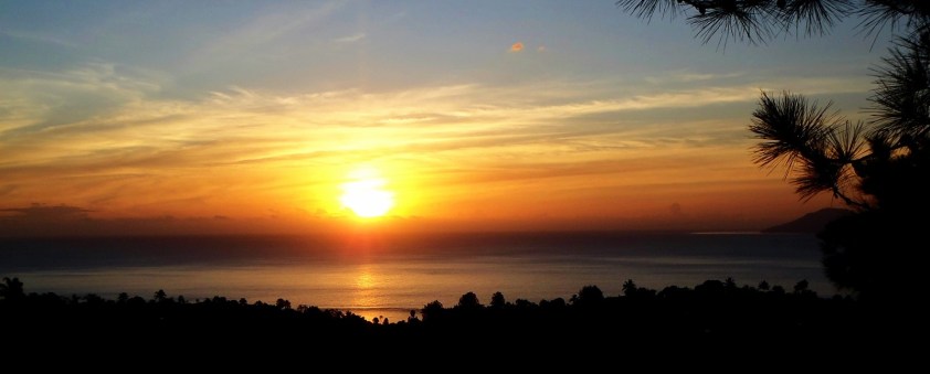 Cliquer pour agrandir