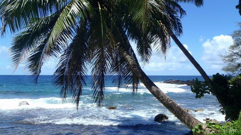 Cliquer pour agrandir