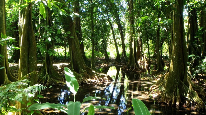 Cliquer pour agrandir