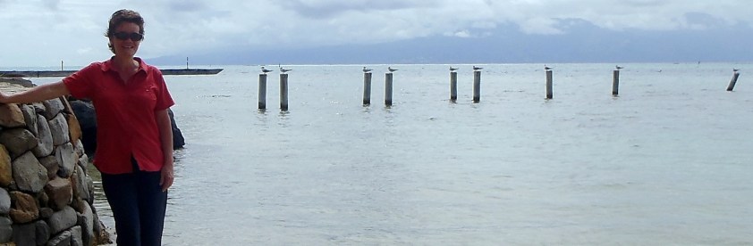 Chaque piquet a son moineau - Cliquer pour agrandir