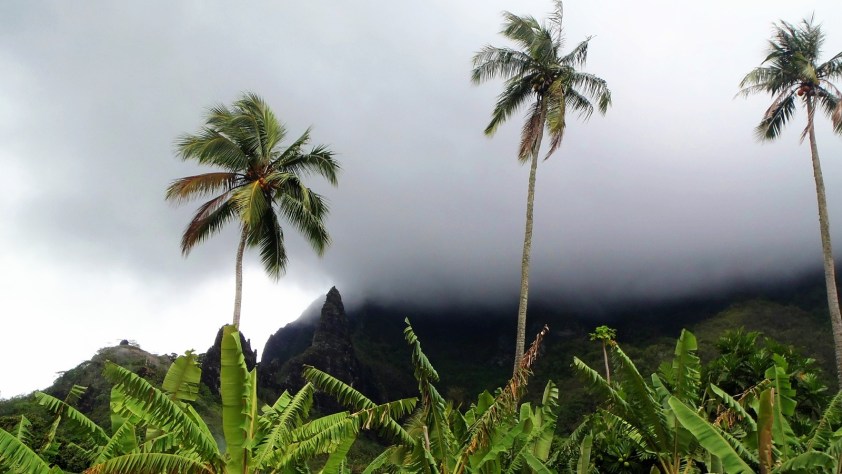 Cliquer pour agrandir