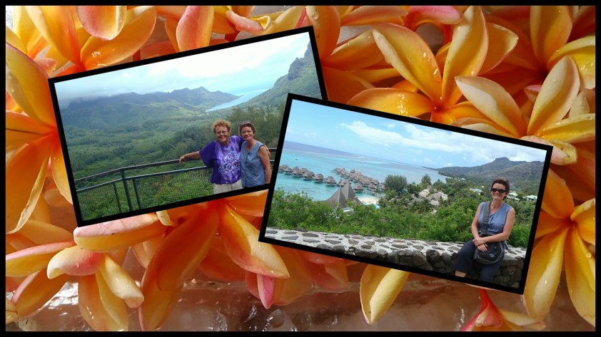 Cliquer pour agrandir