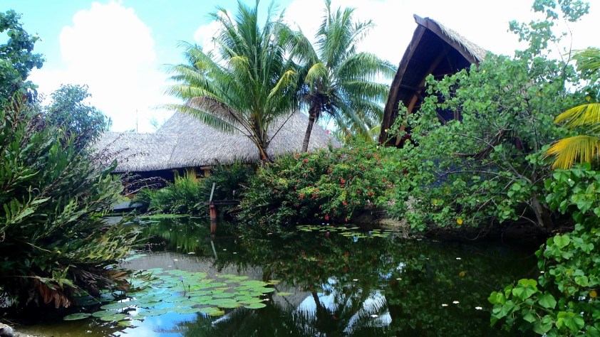 Cliquer pour agrandir