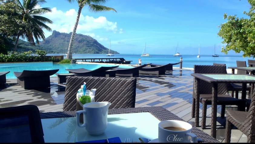 Pearl Treehouse - Cliquer pour agrandir