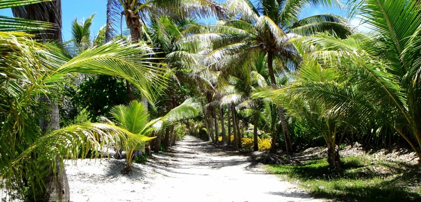 Cliquer pour agrandir