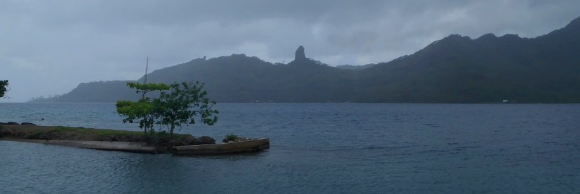 Cliquer pour agrandir