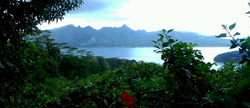 Cliquer pour agrandir