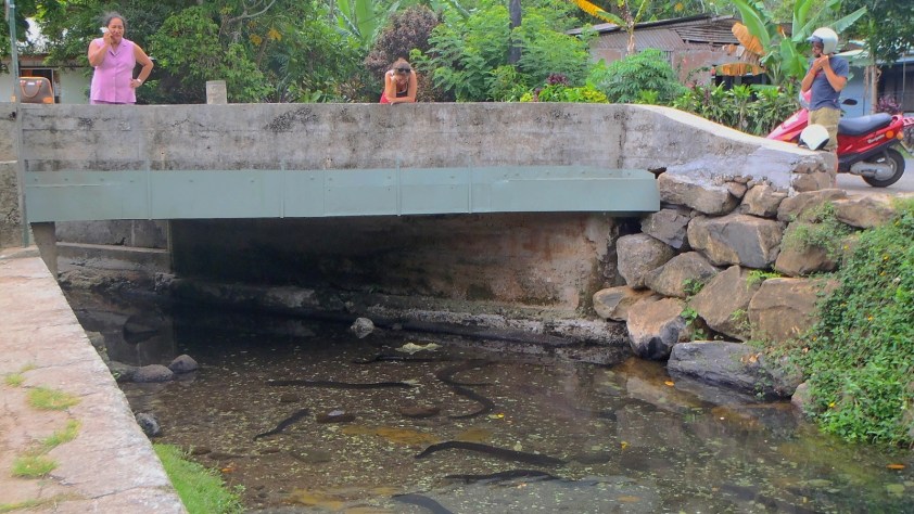 Cliquer pour agrandir