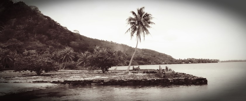 Cliquer pour agrandir