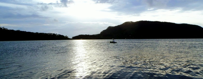 Cliquer pour agrandir