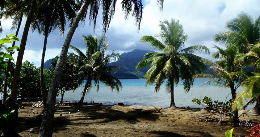 Cliquer pour agrandir