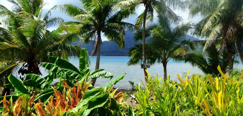 Cliquer pour agrandir