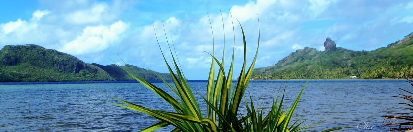 Bite de Hiro - Cliquer pour agrandir