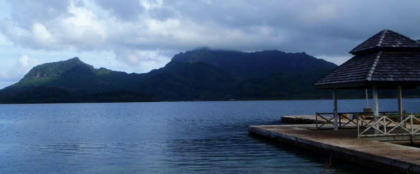 Cliquer pour agrandir