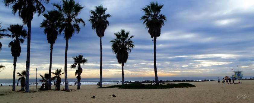 Plage de Venise à Los Angeles - Cliquer pour agrandir