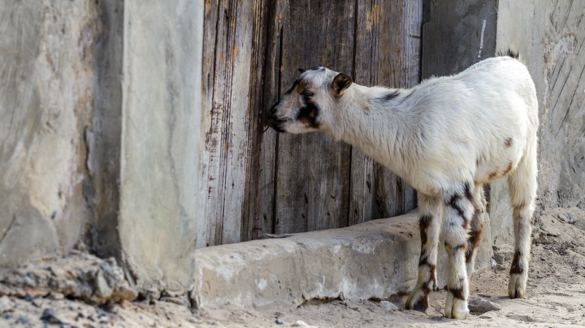 Je ne suis pas la seule à vouloir jeter un oeil!
