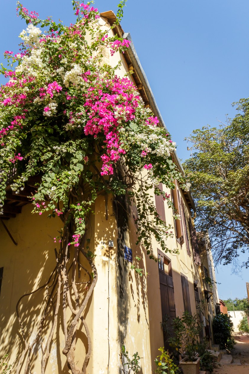 jour18-maison-fleurie