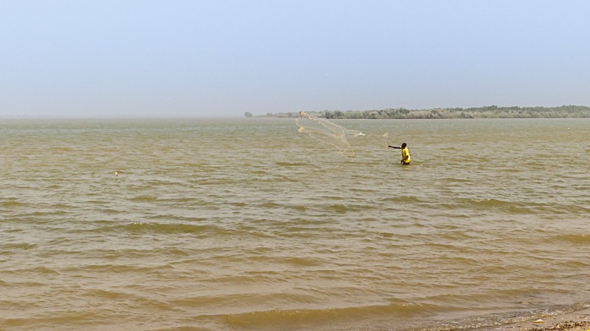 Un pêcheur lançant son filet dans le fleuve Sénégal pendant que j'attends un taxi pour aller luncher à la maison.