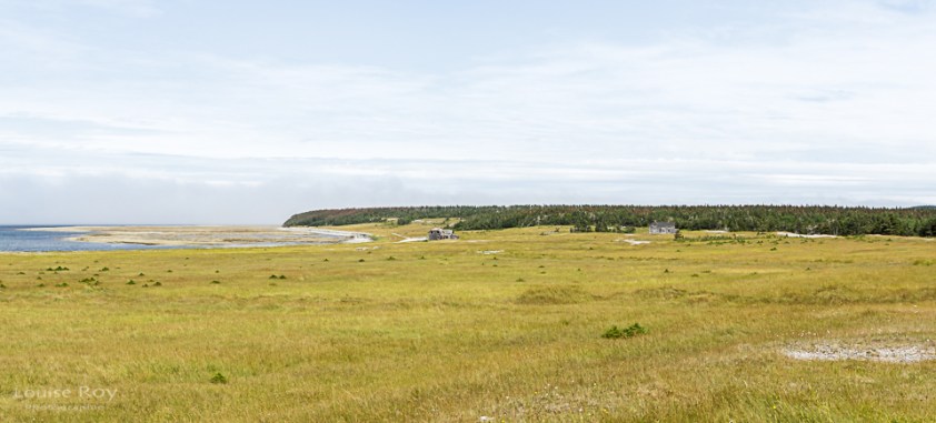 Baie Sainte-Claire aujourd'hui