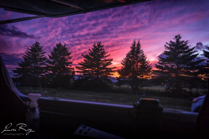 Voici la vue de la salle à manger de Criquette. Pas facile...