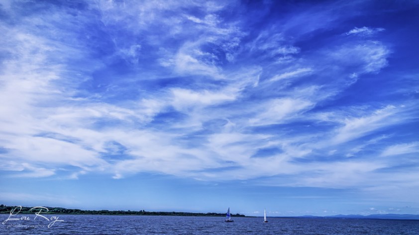 Un tableau de Jean-Paul Riopelle??